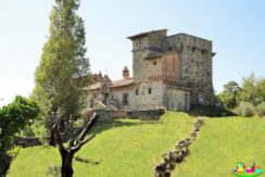 Vendesi Castello con tenuta in Umbria